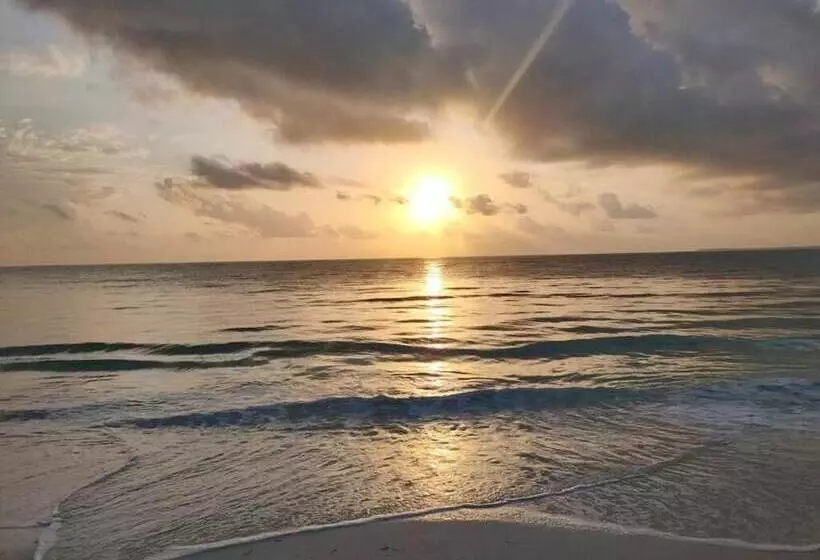 ホテル Nautilus Boutique