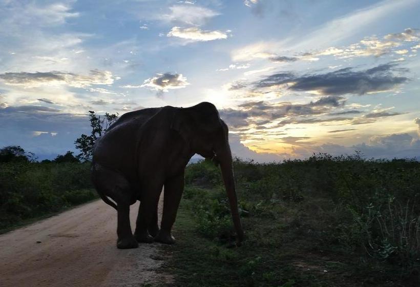 Hotel Peacock Riverside