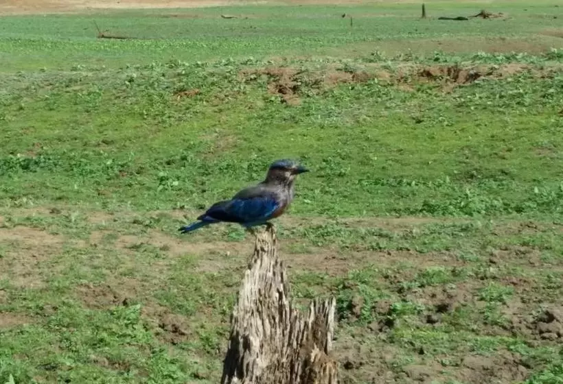 ホテル Peacock Riverside