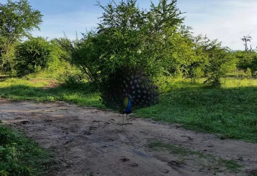 ホテル Peacock Riverside