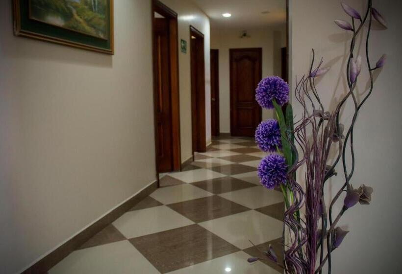 Отель Torre Azul