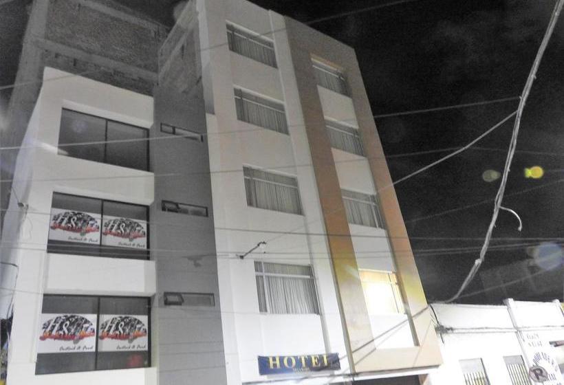 ホテル Villa Isabel