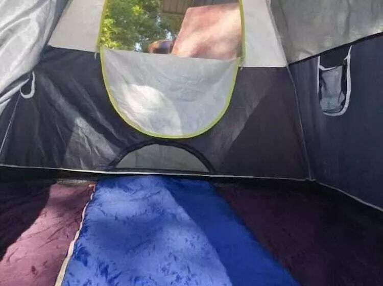 Trippr Gokarna  Beach Hostel