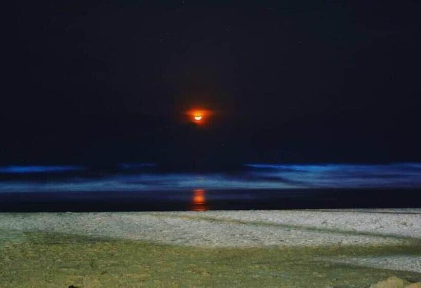 Trippr Gokarna Beach Hostel