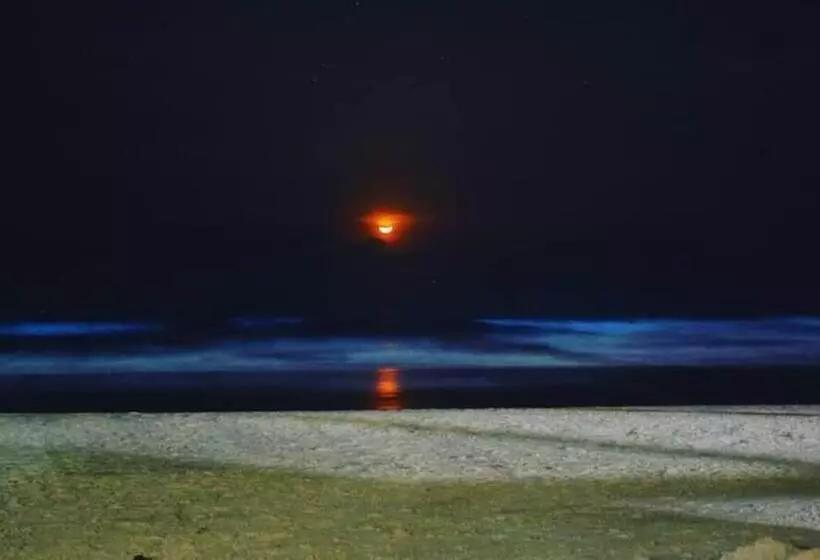 Trippr Gokarna  Beach Hostel