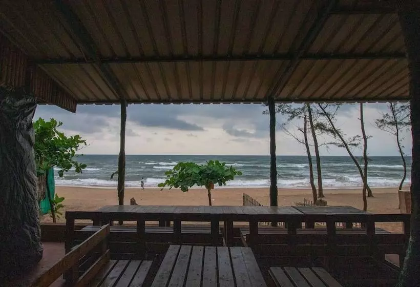 Trippr Gokarna  Beach Hostel
