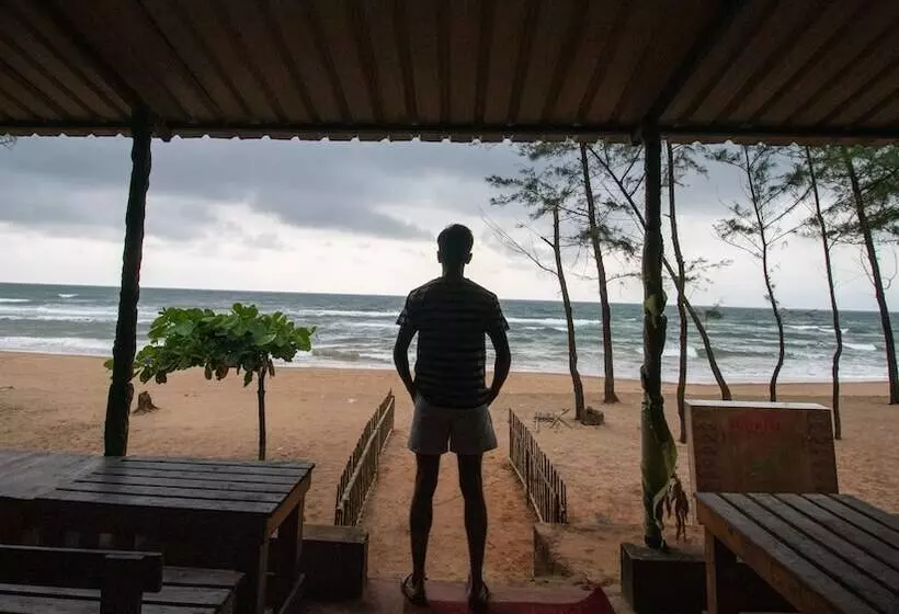 Trippr Gokarna  Beach Hostel
