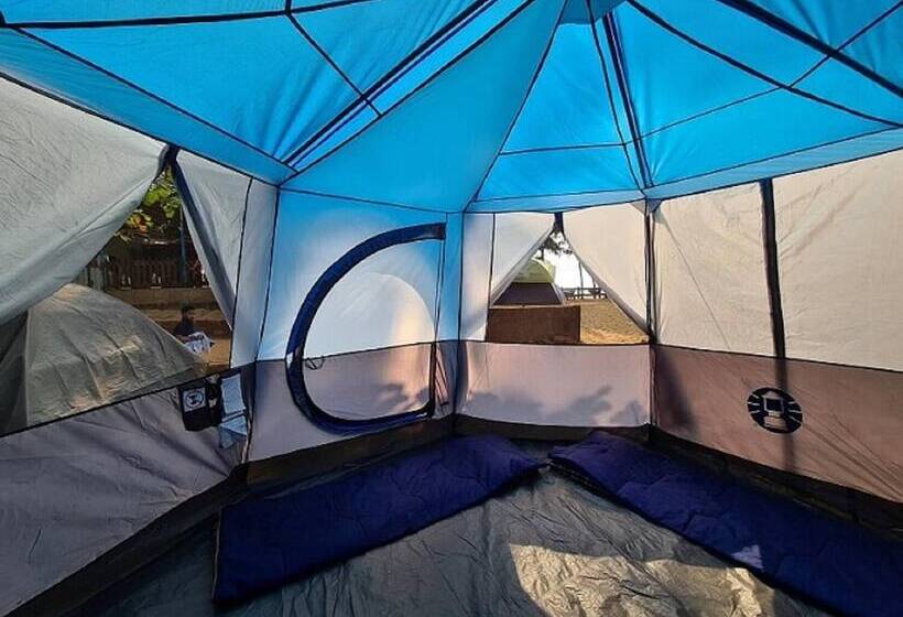 Trippr Gokarna Beach Hostel