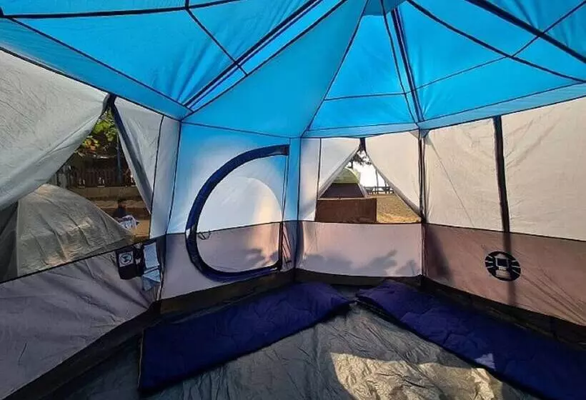 Trippr Gokarna  Beach Hostel