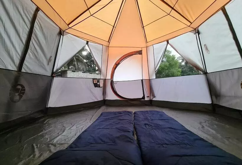 Trippr Gokarna  Beach Hostel