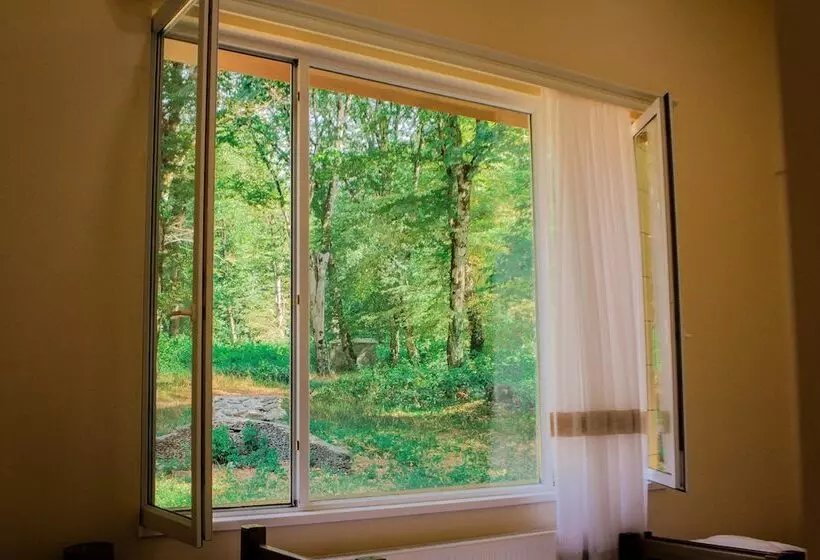 Wald Hotel Lagodekhi