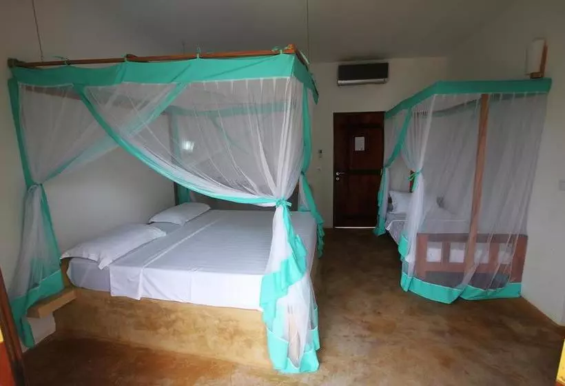 ベッドアンドブレックファースト Kiganja