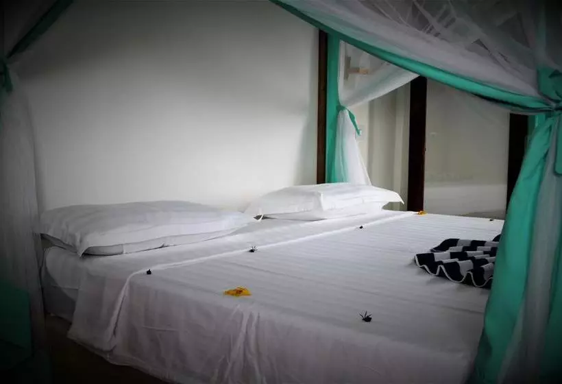 ベッドアンドブレックファースト Kiganja