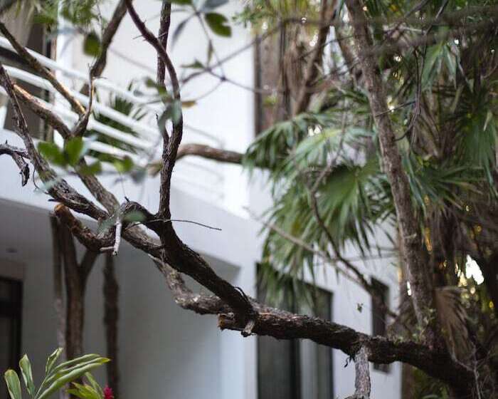 Casa Ambar Hotel & Boutique   Located In The Heart Of Tulum Hotel Zone