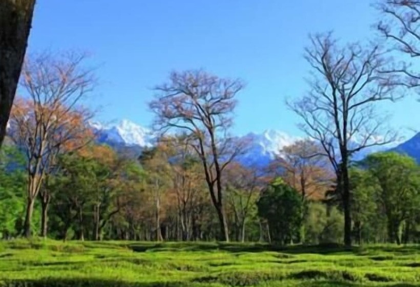 ホテル The Bliss Palampur