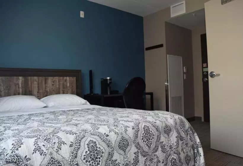 Hotelli United College