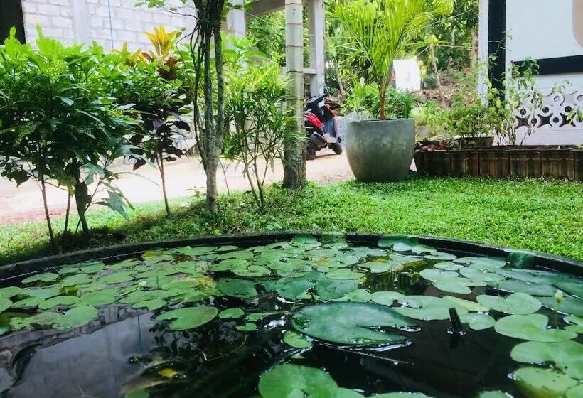 Nature Rex Hostel
