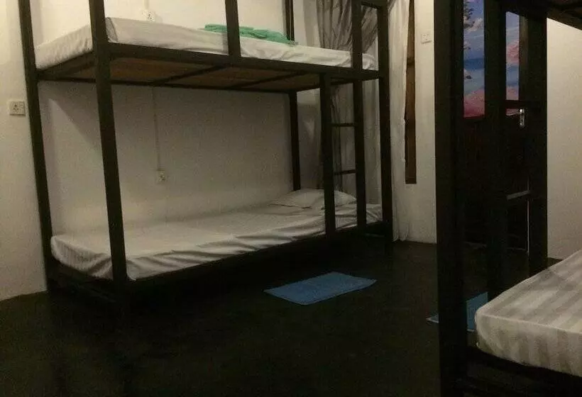 Nature Rex Hostel