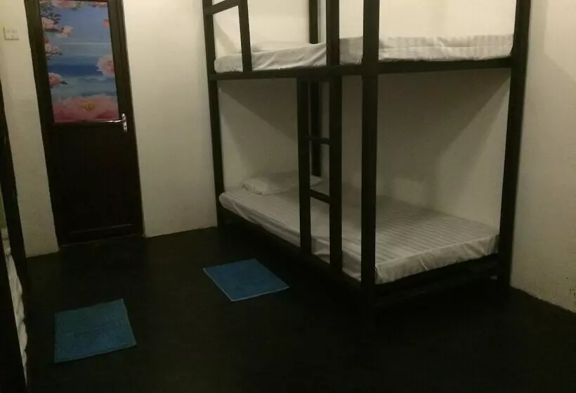 Nature Rex Hostel