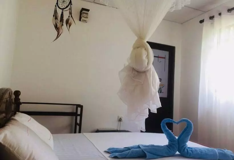 Nature Rex Hostel