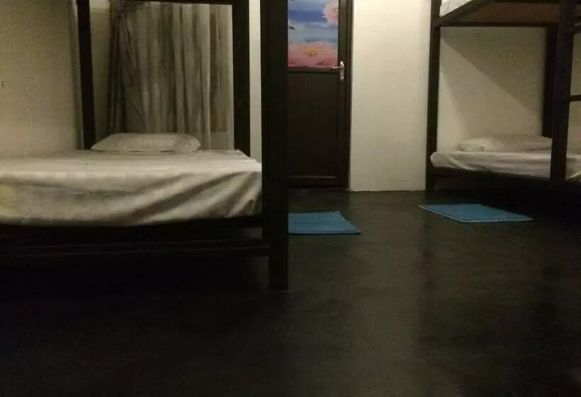Nature Rex Hostel
