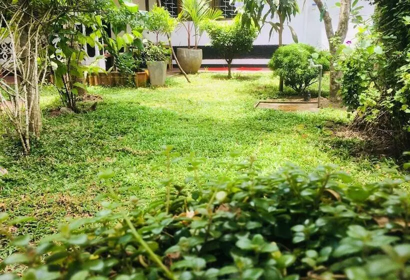Nature Rex Hostel