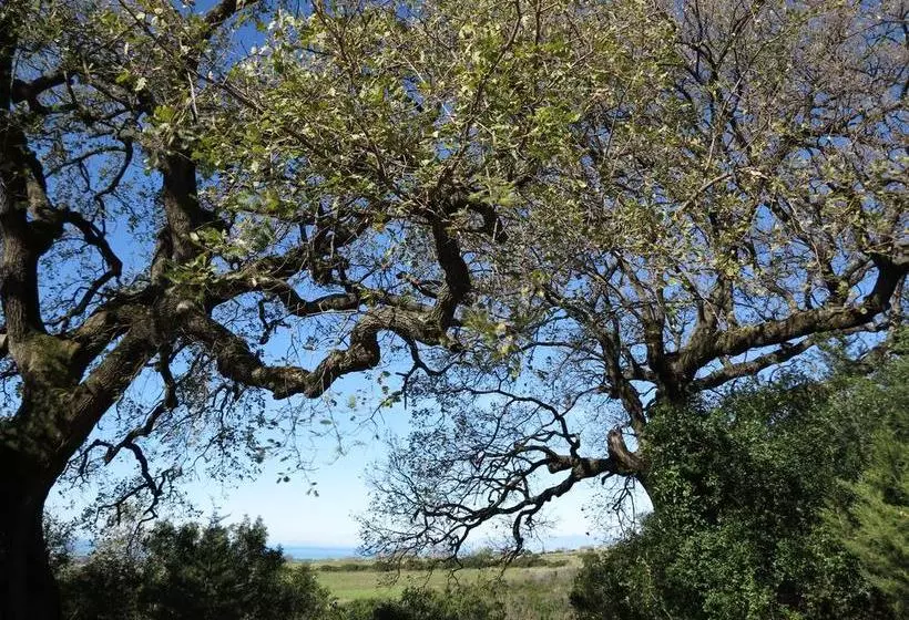 Lomakeskus Il Cannito