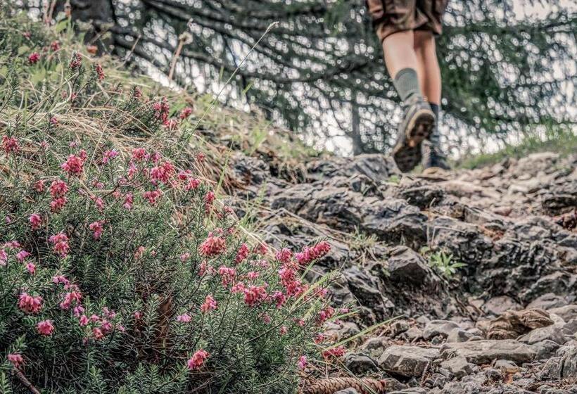 Boutique Hotel Lechzeit