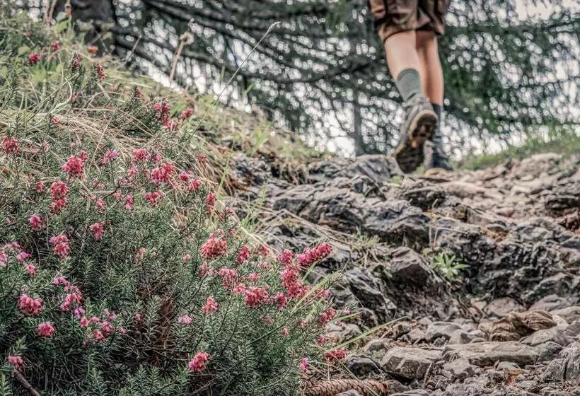 Boutique Hotel Lechzeit