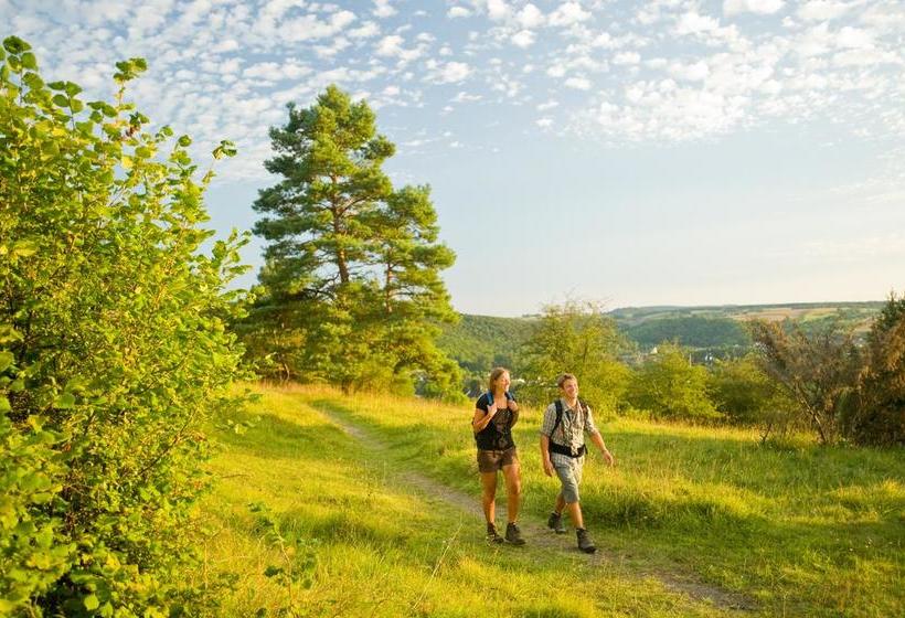 בית מלון כפרי Das Landhaus