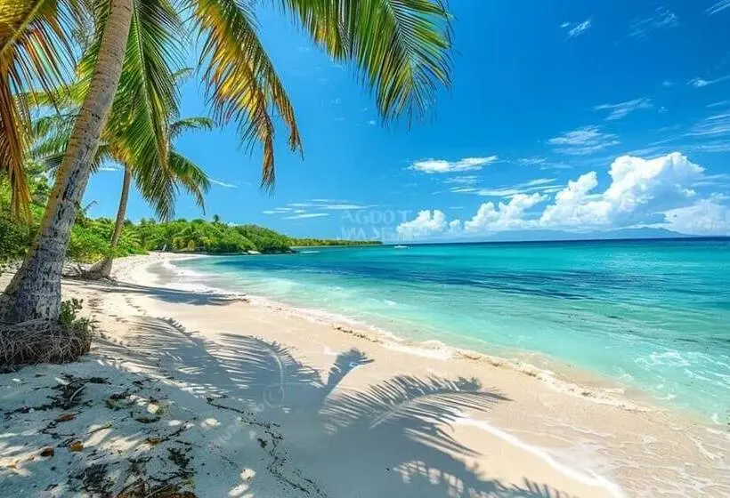 Mauritius Rooms