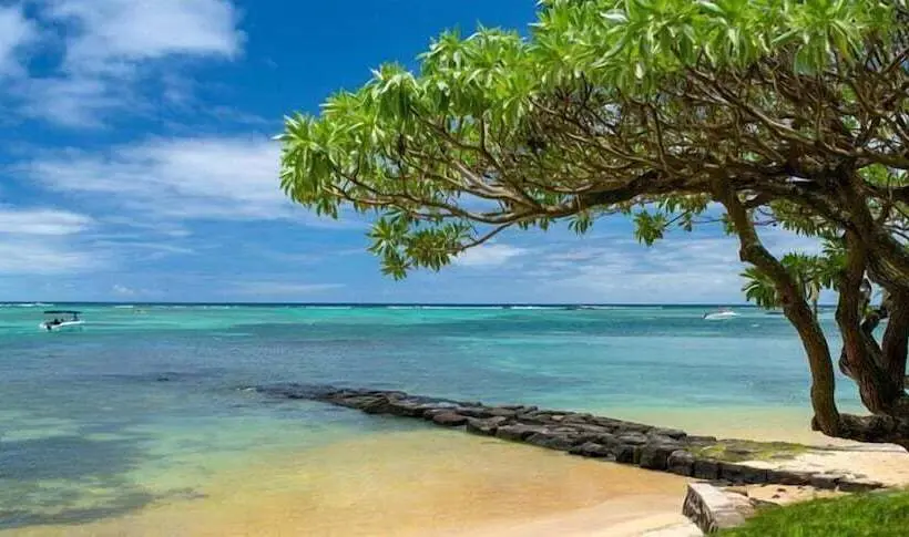 Mauritius Rooms