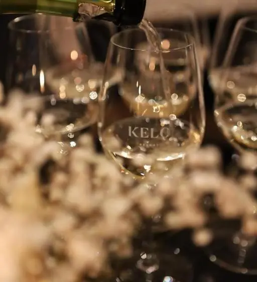 ホテル Kelo Resort Oy