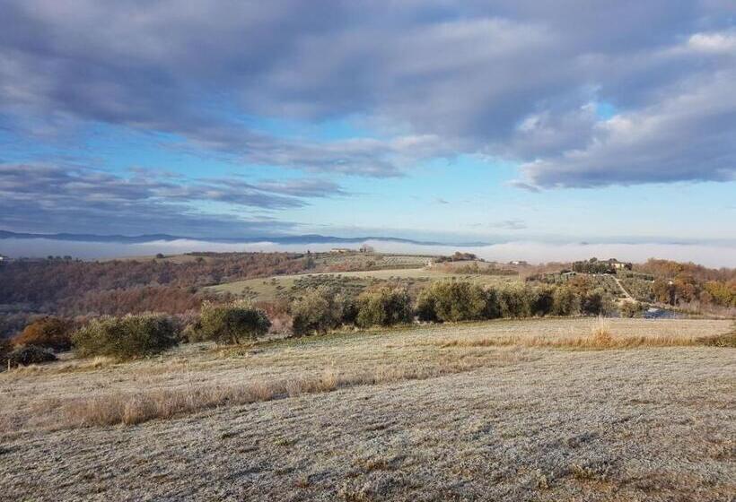 ベッドアンドブレックファースト La Collina