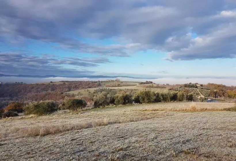 Aamiaismajoitus (B&B) La Collina