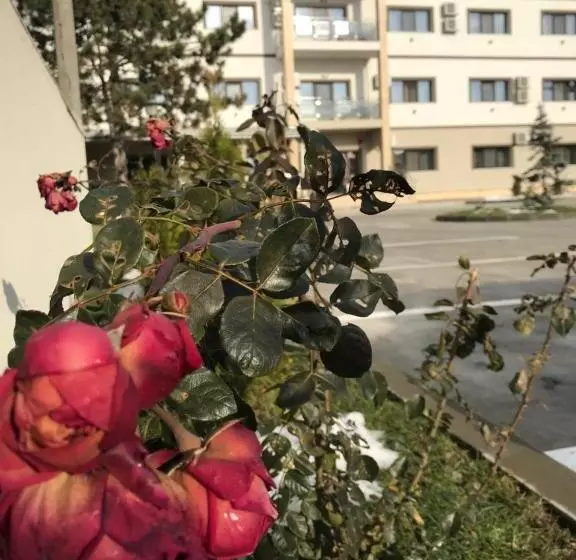 هتل Terra Iasi