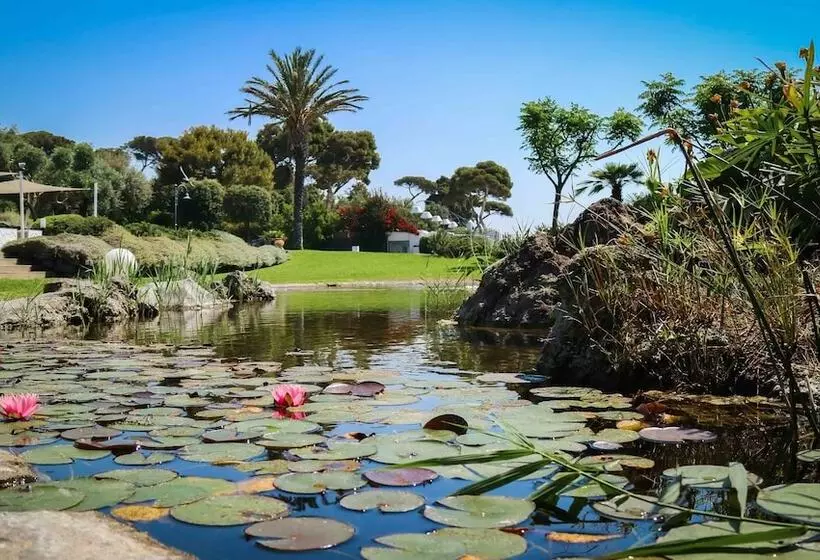 Aamiaismajoitus (B&B) Palazzo Dei Concerti