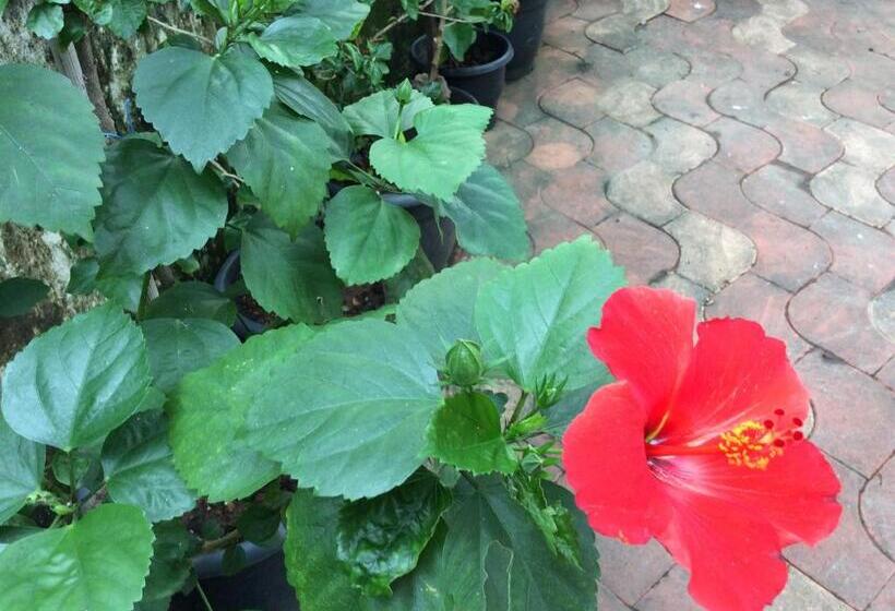 민박 Veda Vihar Homestay & Yoga Centre