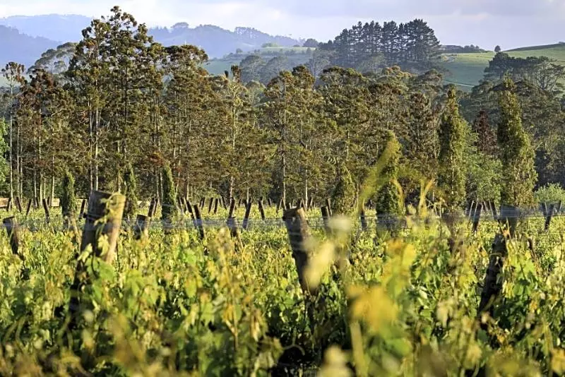 Lomakeskus Plume Villas