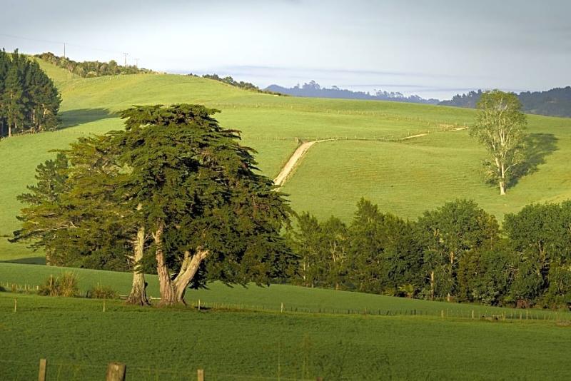 אתר נופש Plume Villas