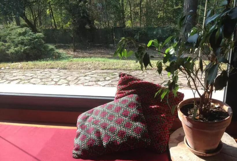 تختخواب و صبحانه Villa Agata