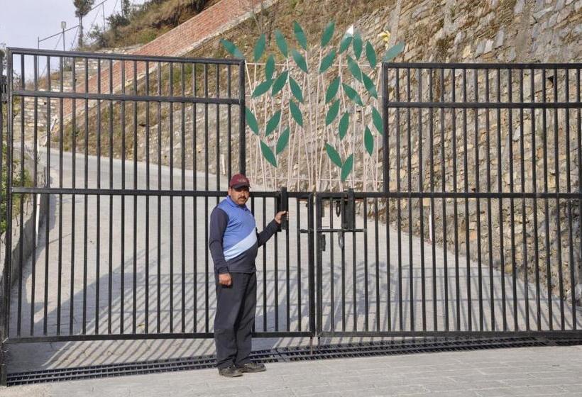 Casa Dream The Resort