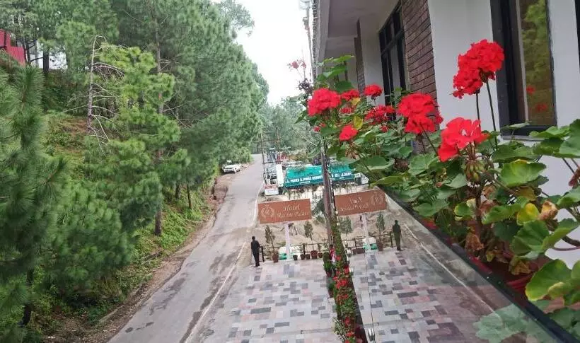 ホテル Ravine Palace