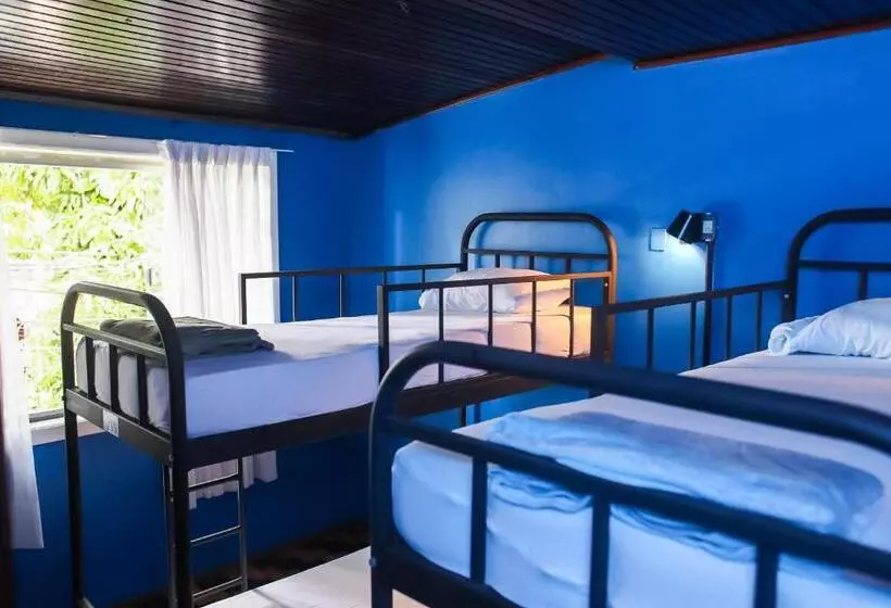 ôvibe Party Hostel