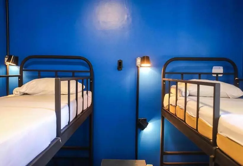 ôvibe Party Hostel
