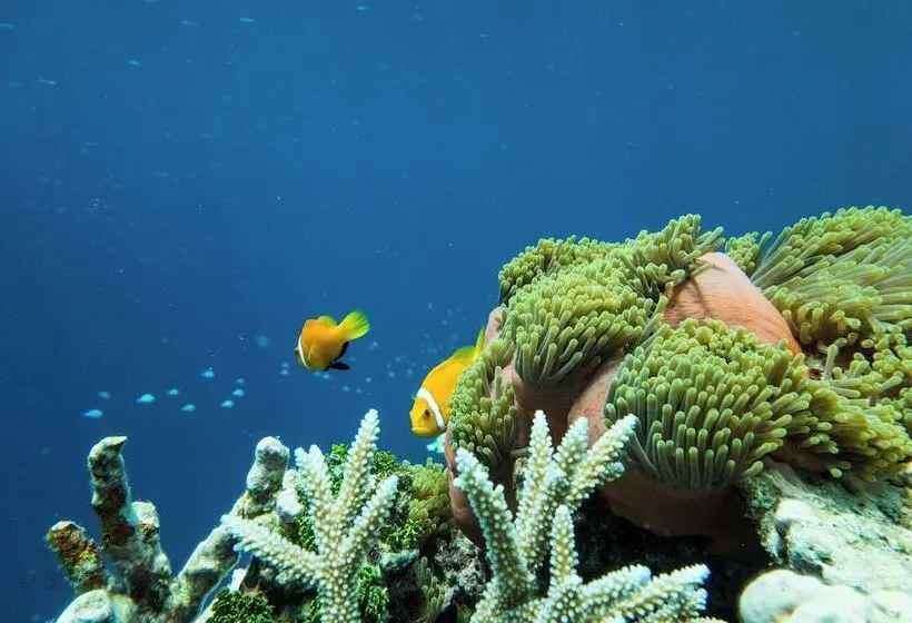 هتل Ocean Pearl Fuvahmulah
