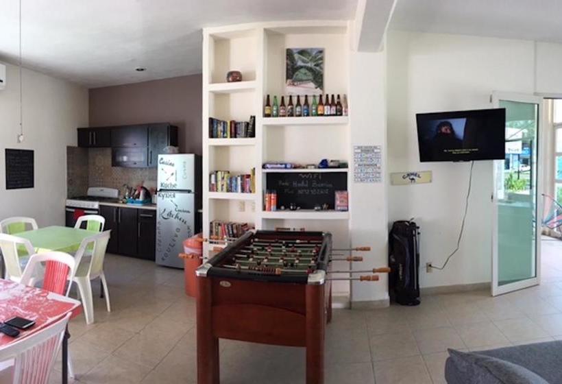 ユースホステル Hostal Bucerias