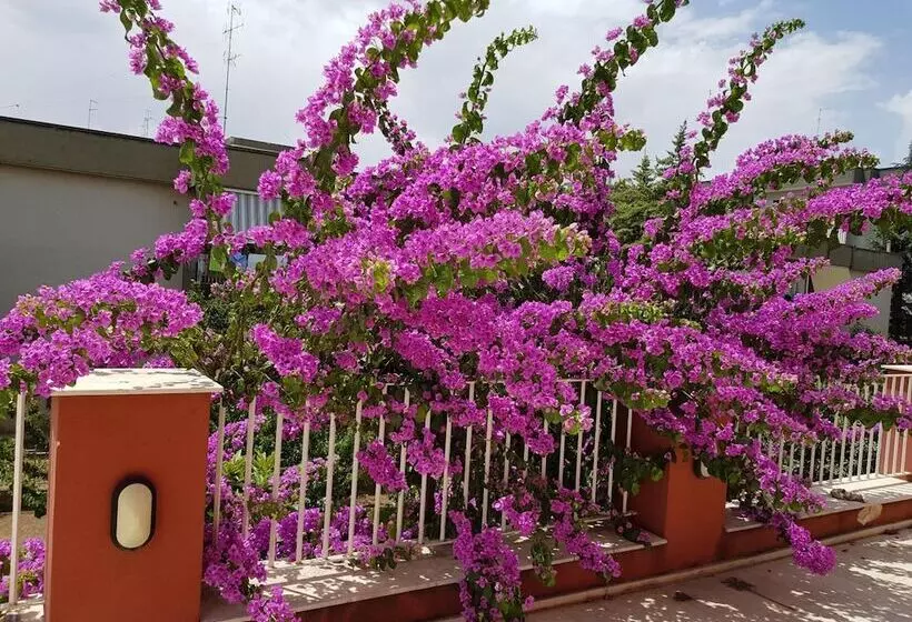 Aamiaismajoitus (B&B) Dimora D'amato