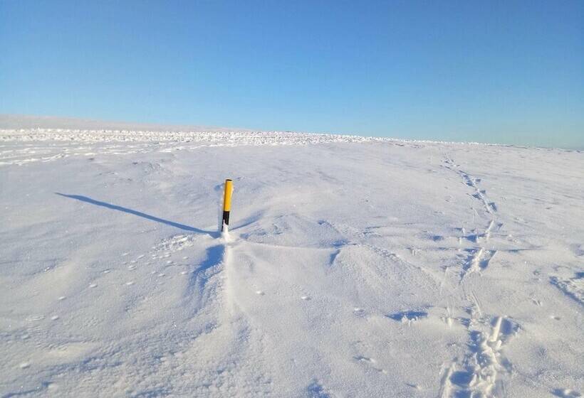 مبيت وإفطار O Vicente