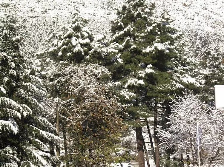 Aamiaismajoitus (B&B) O Vicente